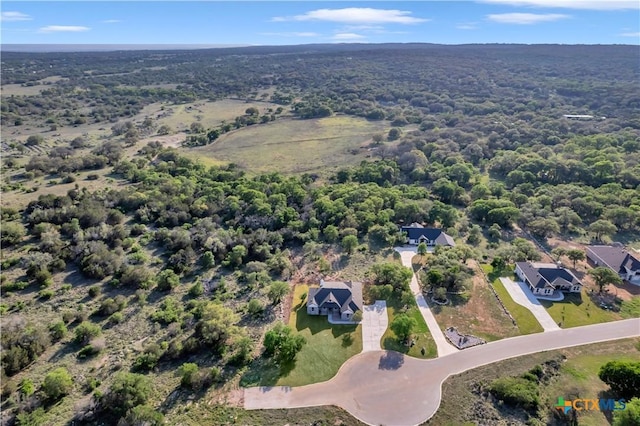 113 Cobblestone Ln, Burnet, TX 78611 - aerial view