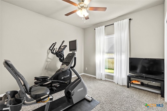 workout room featuring ceiling fan and carpet floors