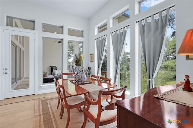 dining room with light hardwood / wood-style flooring