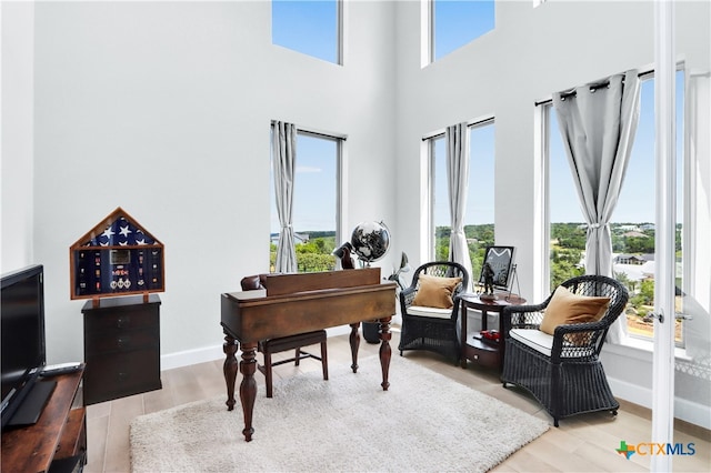 living area featuring light hardwood / wood-style floors