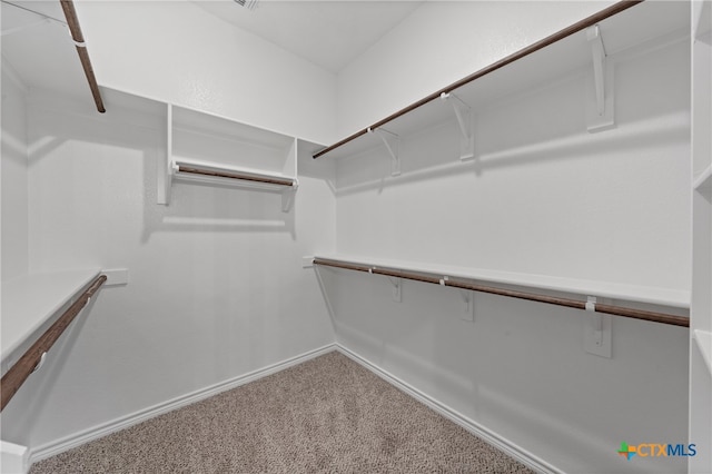 walk in closet with carpet