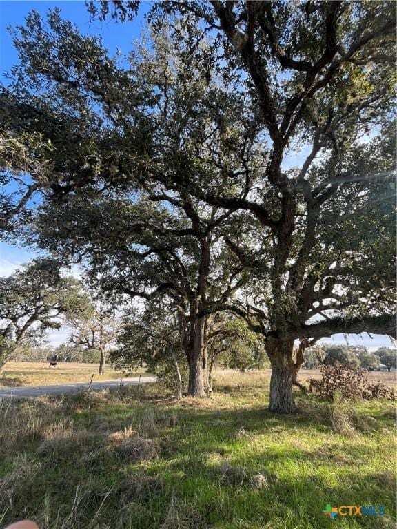 TBD-TractD Gandy Bend Road, Edna TX, 77957 land for sale