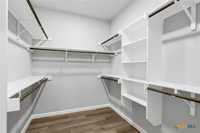 9923 Loma Alta Cir, Converse, TX 78109 - walk in closet with wood finished floors