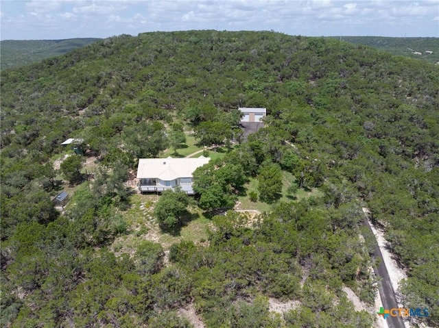 10306 Vance Circle Rd, Jonestown, TX 78645 - photo 38
