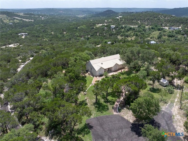 10306 Vance Circle Rd, Jonestown, TX 78645 - photo 4