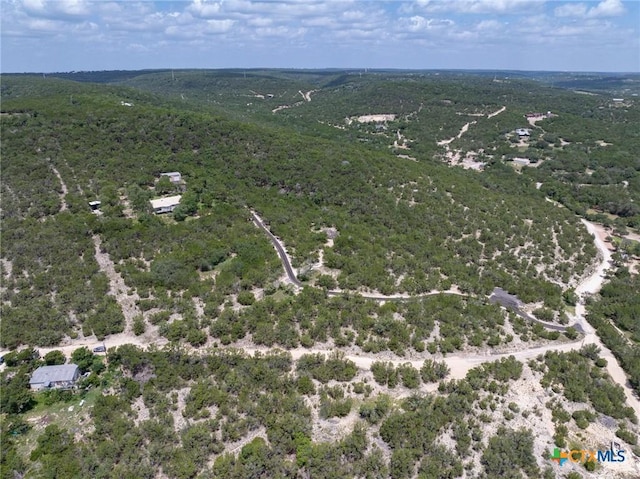10306 Vance Circle Rd, Jonestown, TX 78645 - bird's eye view
