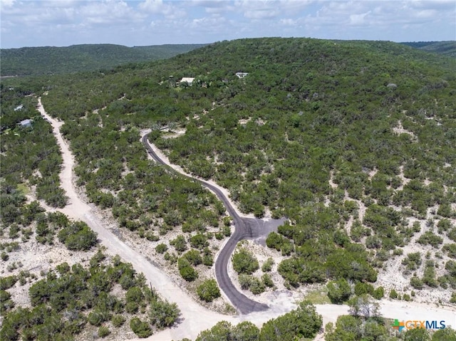 10306 Vance Circle Rd, Jonestown, TX 78645 - photo 26