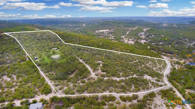 10306 Vance Circle Rd, Jonestown, TX 78645 - photo 1