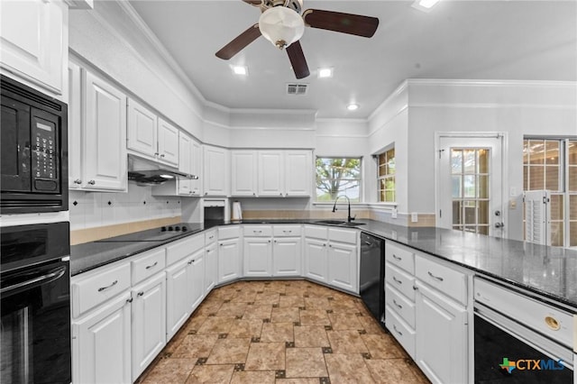 1546 W Fm 93rd Hwy Unit 207, Temple, TX 76502 - kitchen with black appliances, a sink, crown molding, under cabinet range hood, and dark countertops