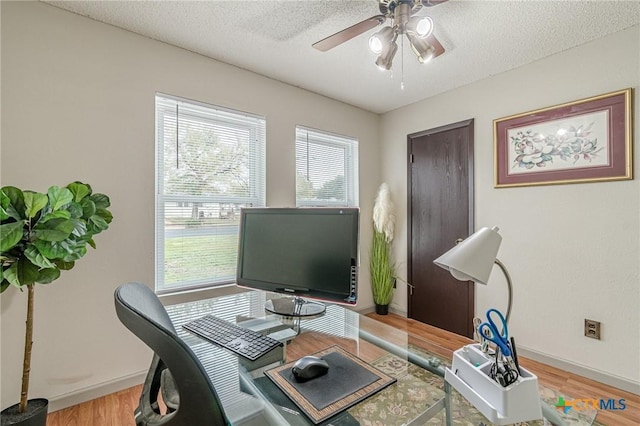 office space with a textured ceiling, light hardwood / wood-style flooring, and plenty of natural light