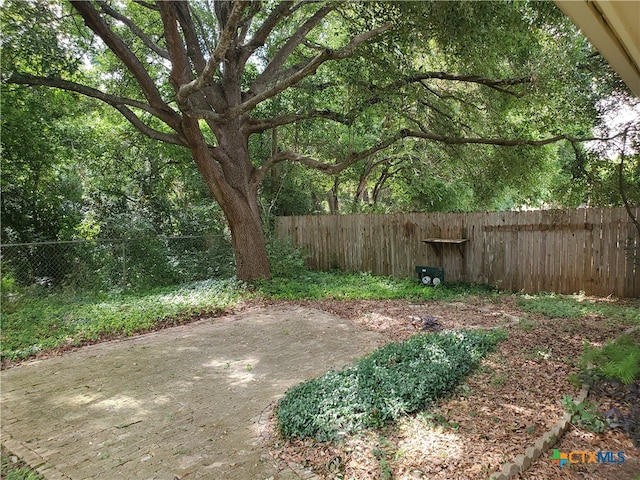 view of yard with a patio