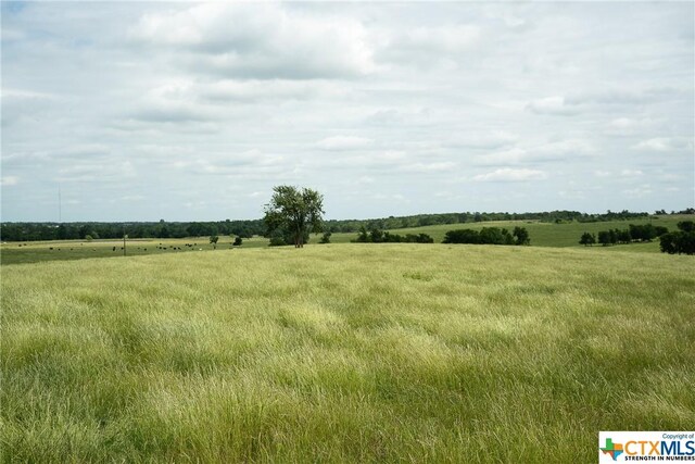 1716 County Road 469, Coupland, TX 78634