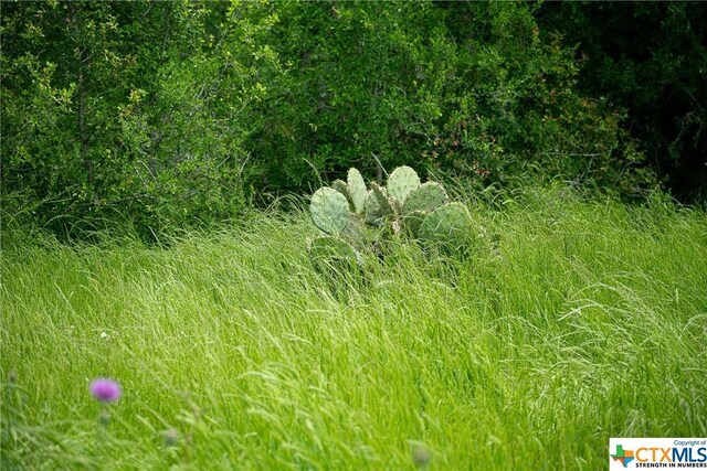 1716 County Road 469, Coupland, TX 78634