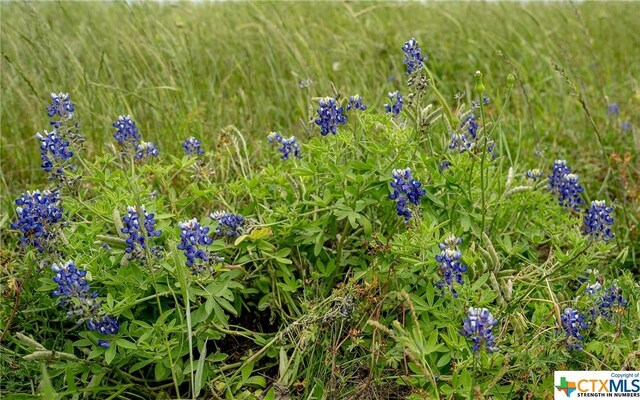 1716 County Road 469, Coupland, TX 78634