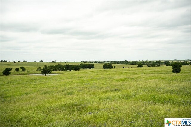 1716 County Road 469, Coupland, TX 78634