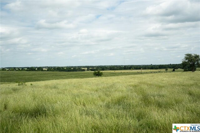 1716 County Road 469, Coupland, TX 78634