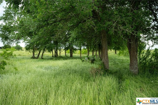1716 County Road 469, Coupland, TX 78634