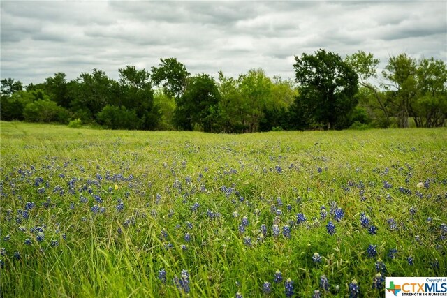 1716 County Road 469, Coupland, TX 78634