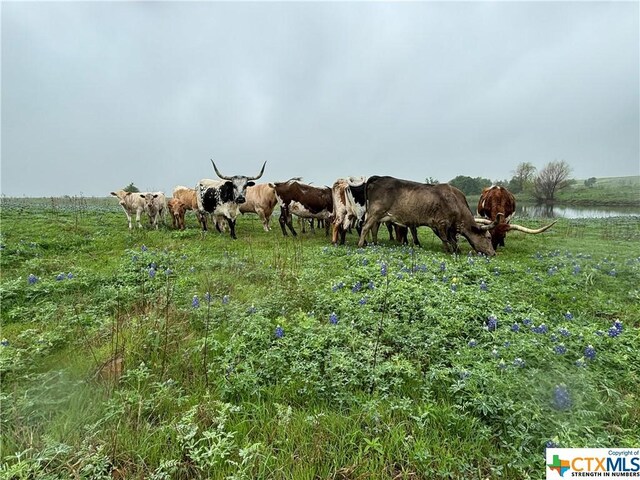 1716 County Road 469, Coupland, TX 78634