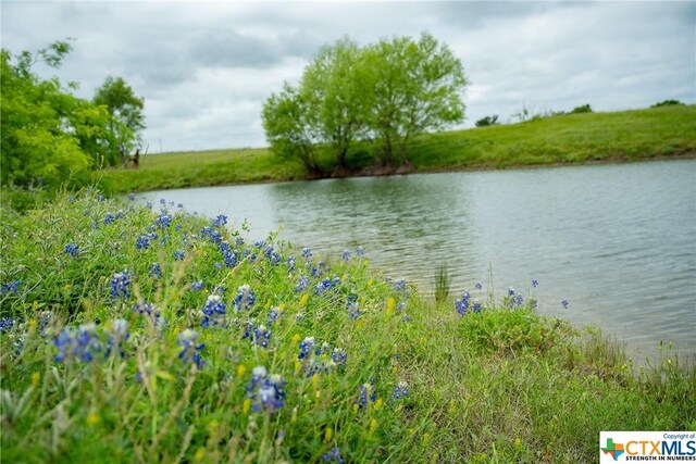 1716 County Road 469, Coupland, TX 78634