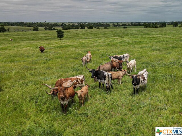 1716 County Road 469, Coupland, TX 78634