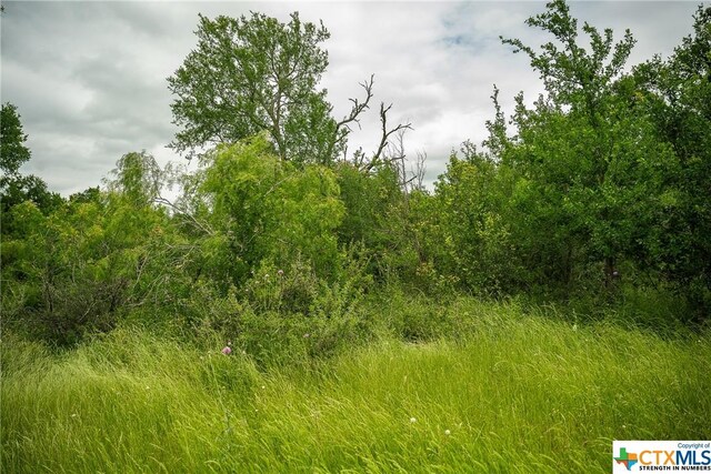 1716 County Road 469, Coupland, TX 78634