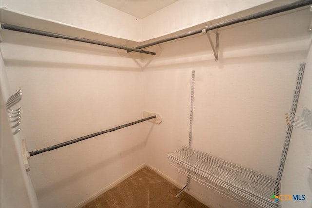 spacious closet with carpet floors