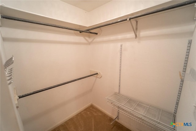 206 Ashland Crk, Victoria, TX 77901 - walk in closet featuring carpet