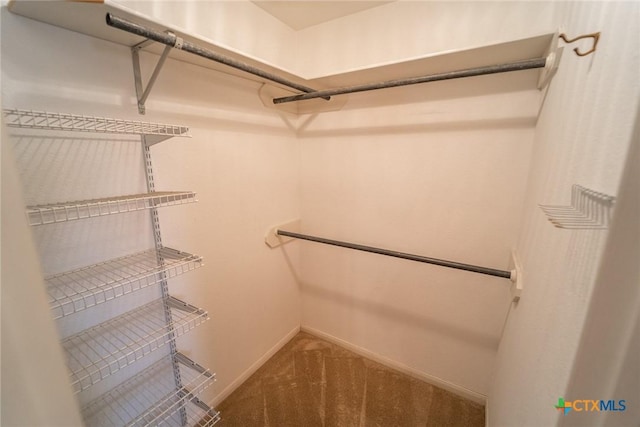 206 Ashland Crk, Victoria, TX 77901 - walk in closet featuring carpet