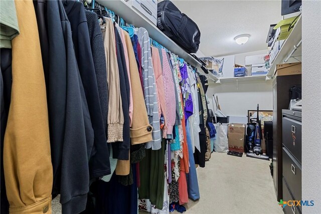 spacious closet featuring carpet