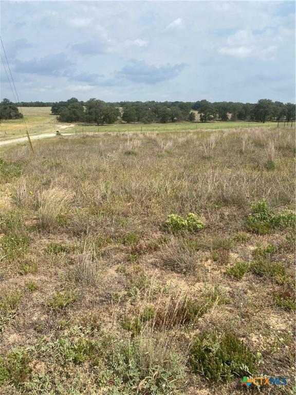 701 Sunrise Ln, La Vernia, TX 78121 - photo 4