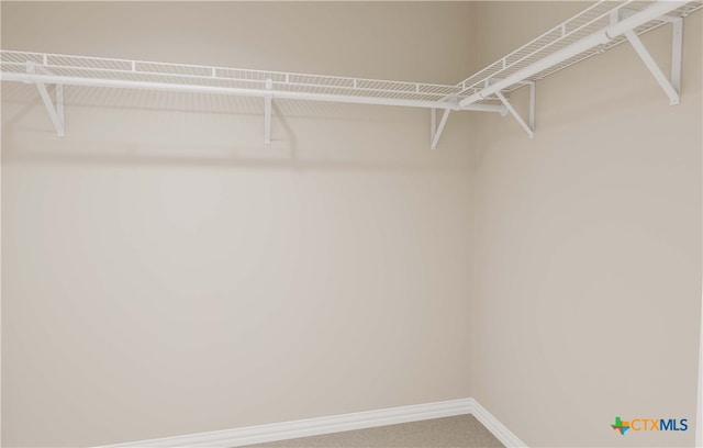 3812 Poteet Ct, Temple, TX 76504 - spacious closet with carpet
