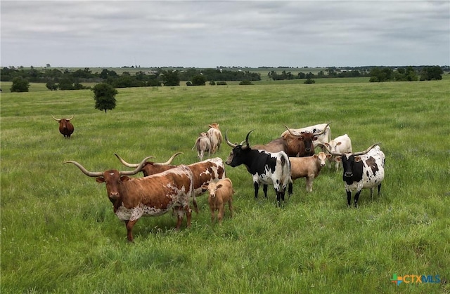1716B County Road 469, Coupland, TX 78615