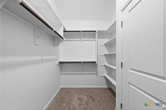 walk in closet featuring carpet floors