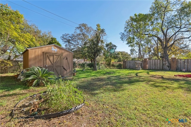 view of yard featuring a shed