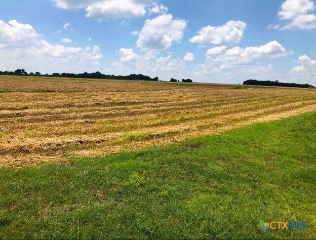 TBD Cr 421, Thrall, TX 76578 - photo 1