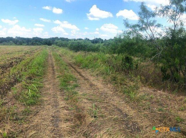 TBD Cr 421, Thrall, TX 76578 - photo 14
