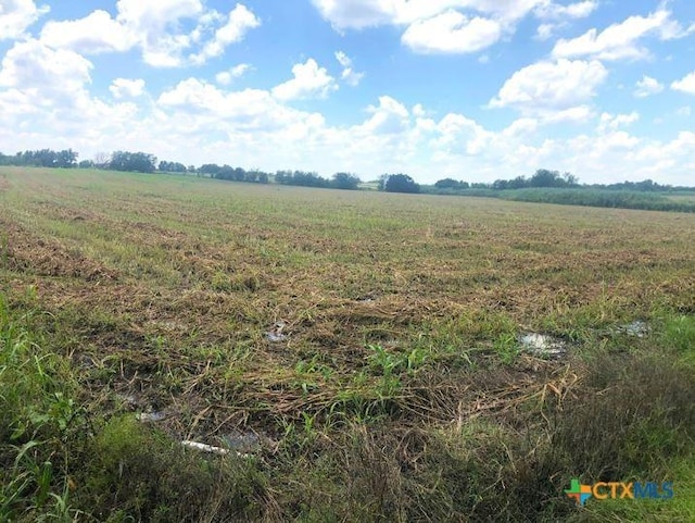 TBD Cr 421, Thrall, TX 76578 - photo 9