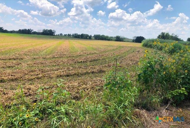 TBD Cr 421, Thrall, TX 76578 - photo 3