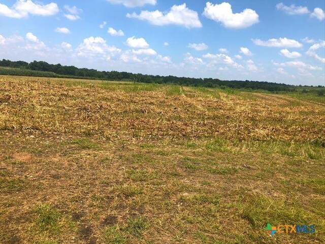 TBD Cr 421, Thrall, TX 76578 - photo 19