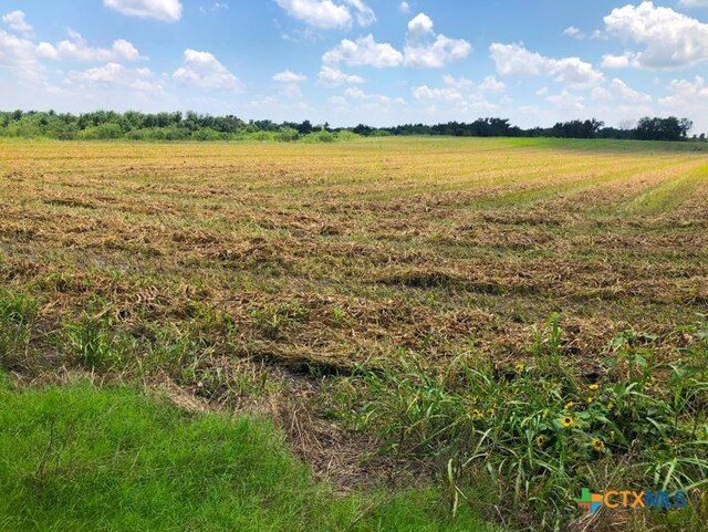 TBD Cr 421, Thrall, TX 76578 - photo 4
