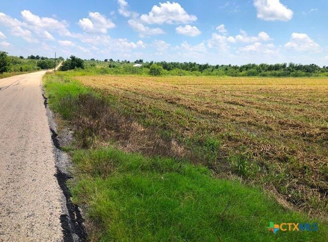 TBD Cr 421, Thrall, TX 76578 - photo 5