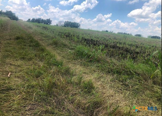 TBD Cr 421, Thrall, TX 76578 - photo 13