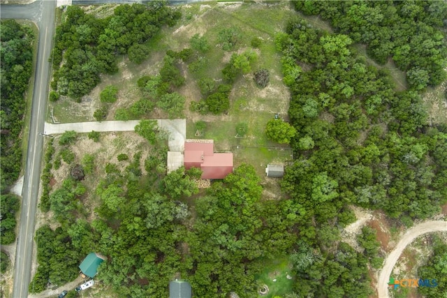 1143 Flaman Rd, Canyon Lake, TX 78133 - aerial view of property and surrounding area