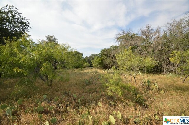 17426 US Highway 183, Lometa, TX 76853 - photo 5