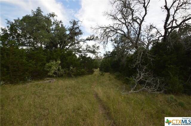 17426 US Highway 183, Lometa, TX 76853 - photo 11