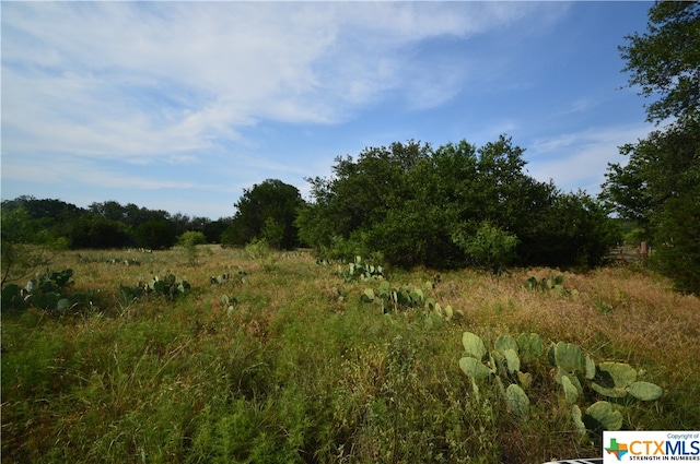 17426 US Highway 183, Lometa TX, 76853 land for sale