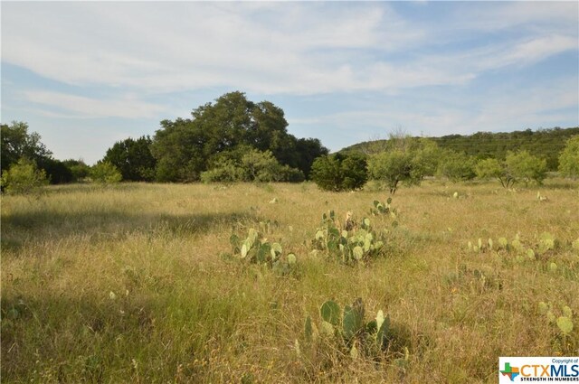 17426 US Highway 183, Lometa, TX 76853 - photo 7