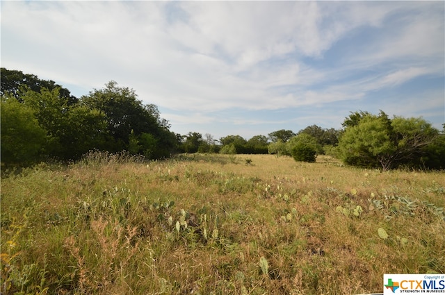 Listing photo 3 for 17426 US Highway 183, Lometa TX 76853