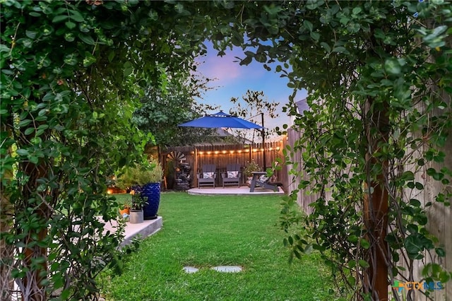 272 Adoquin Trl, Buda, TX 78610 - yard at dusk featuring a patio area